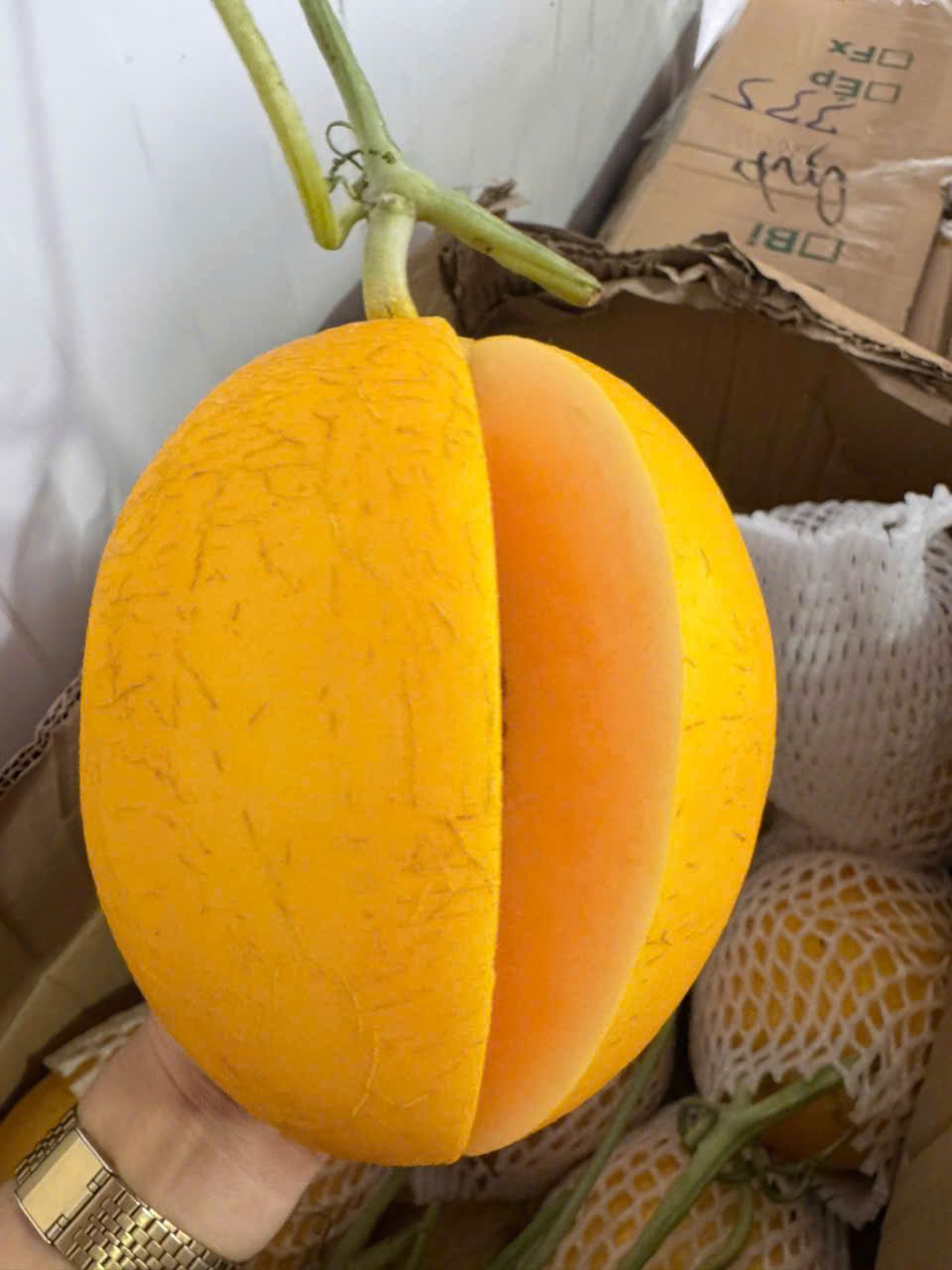 Dưa lưới Hoàng Kim bổ đôi, ruột cam