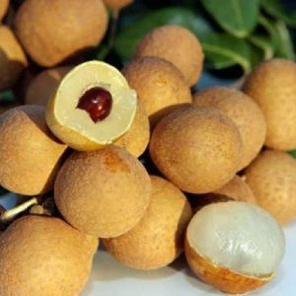 Nhãn xuồng cơm vàng bóc vỏ, cơm dày