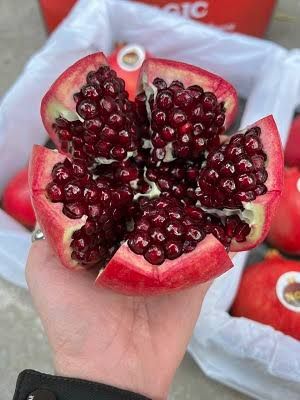Quả lựu đỏ Ai Cập bổ đôi trên tay, hạt đỏ sẫm
