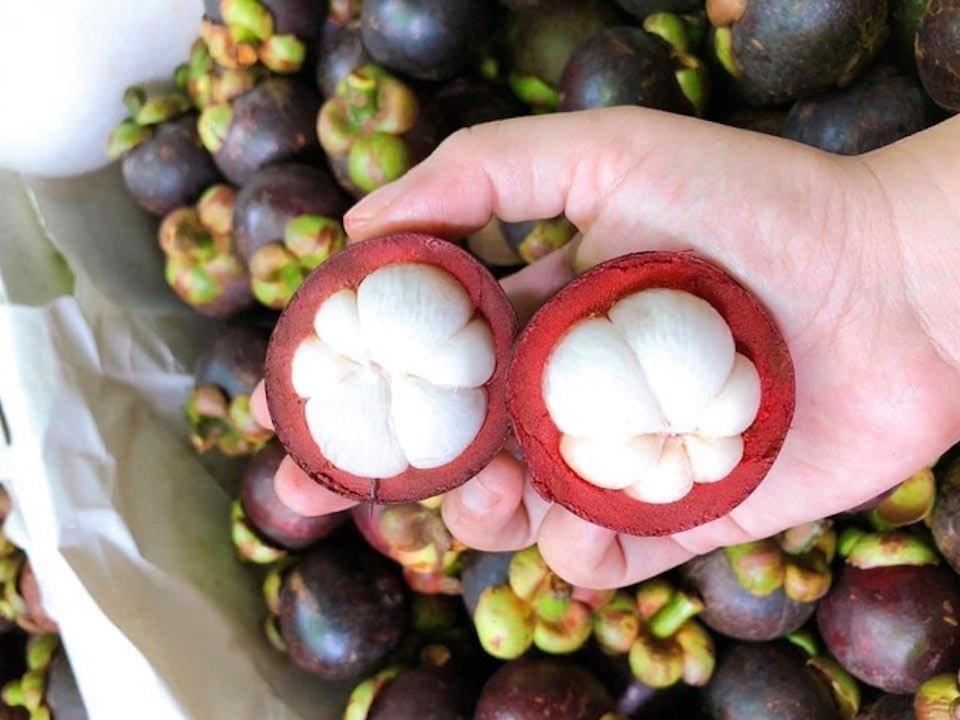Măng cụt bổ đôi trên tay, múi trắng đều